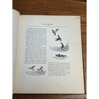Rare Sports Afield Collection - Know Your Ducks & Geese Bound Hardcover Book