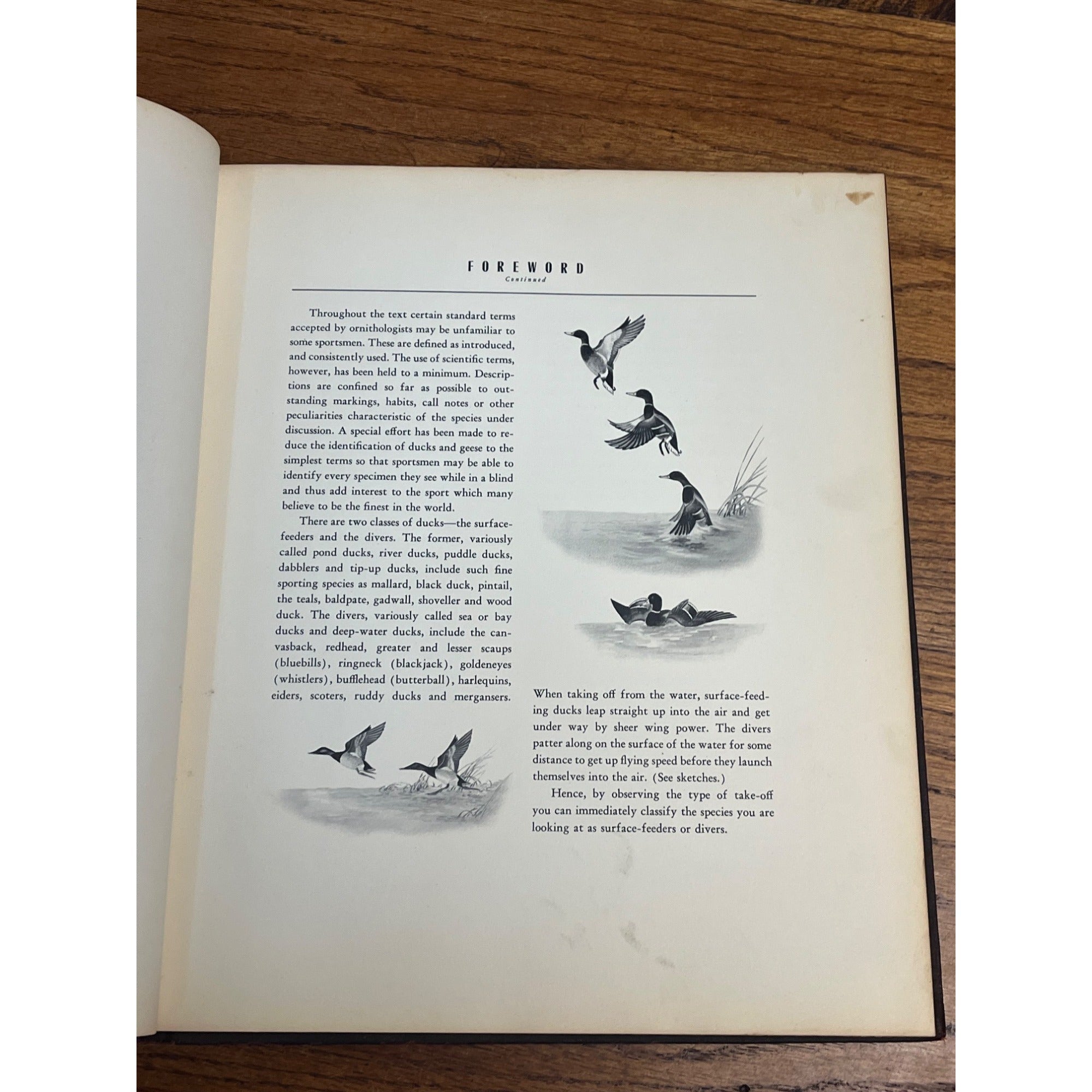 Rare Sports Afield Collection - Know Your Ducks & Geese Bound Hardcover Book