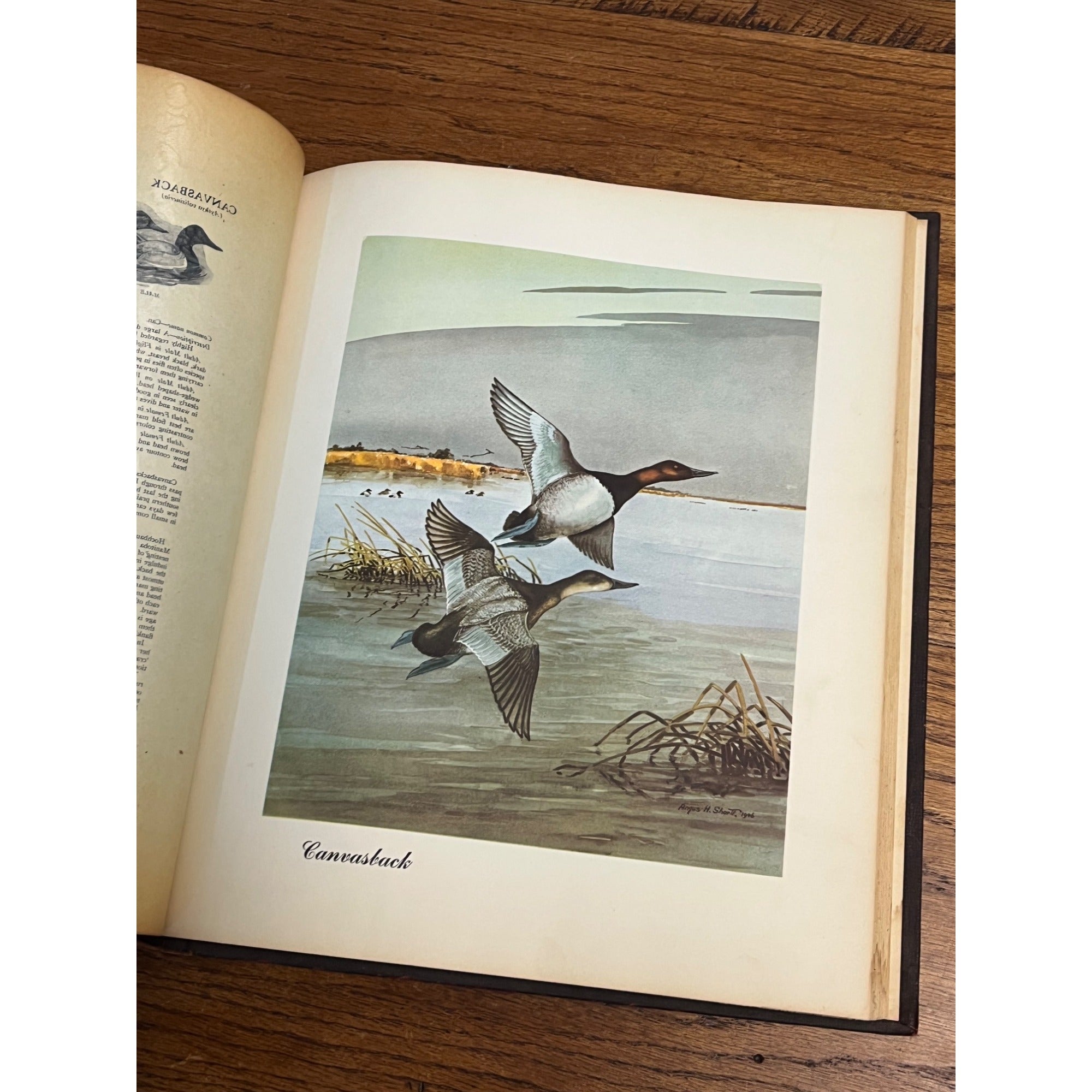 Rare Sports Afield Collection - Know Your Ducks & Geese Bound Hardcover Book