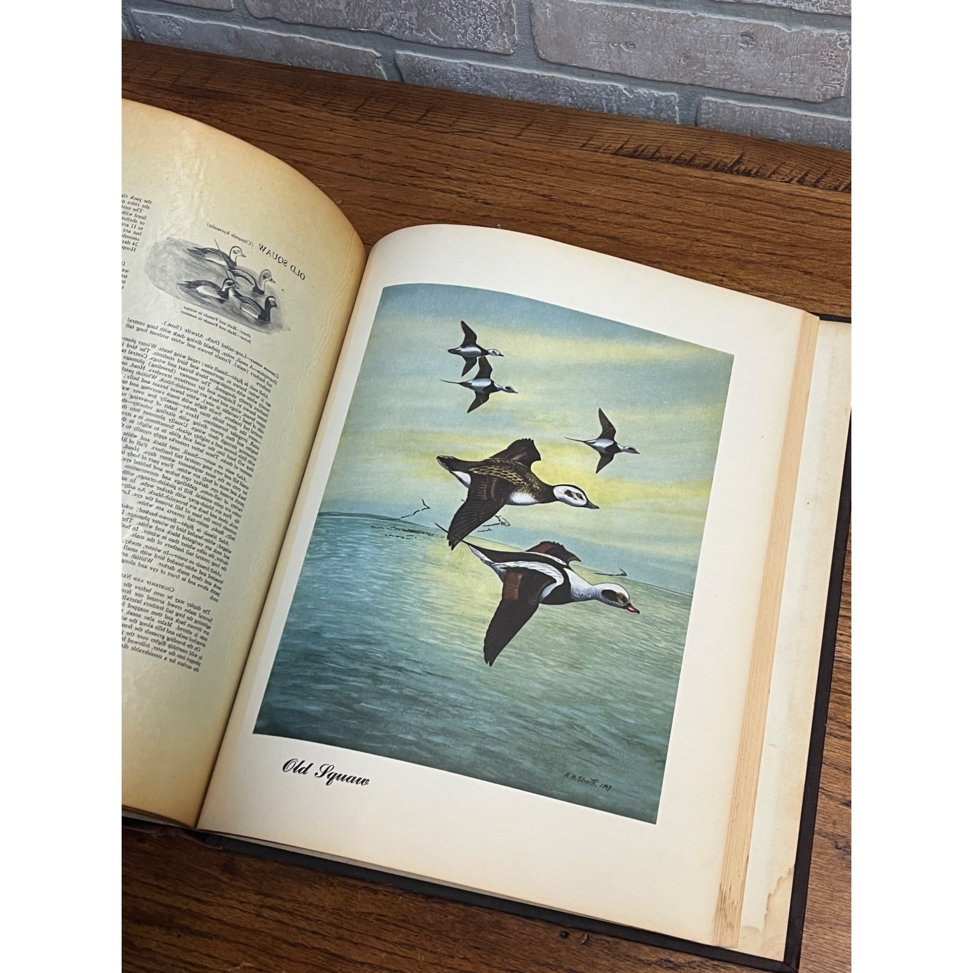 Rare Sports Afield Collection - Know Your Ducks & Geese Bound Hardcover Book