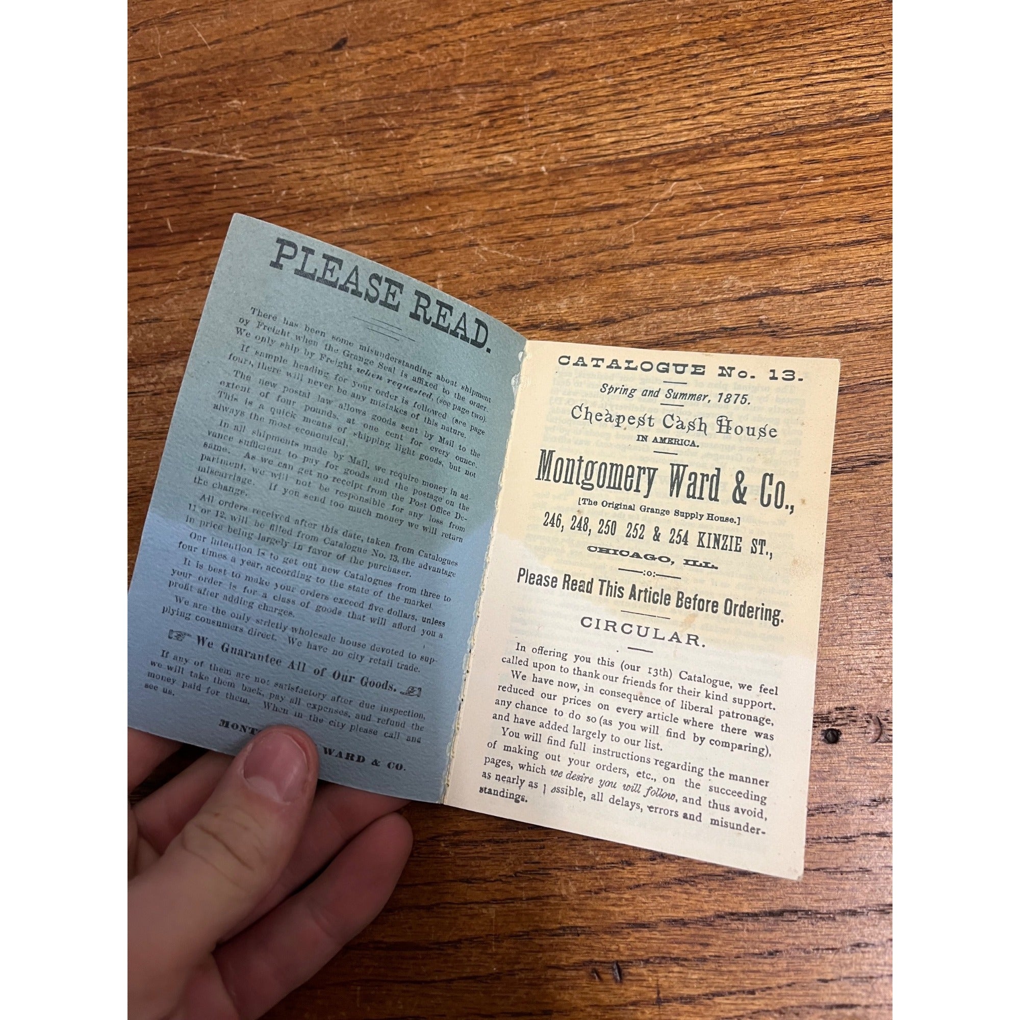 Montgomery Ward & Co Catalog #13 Spring Summer 1875 Department Store Vintage