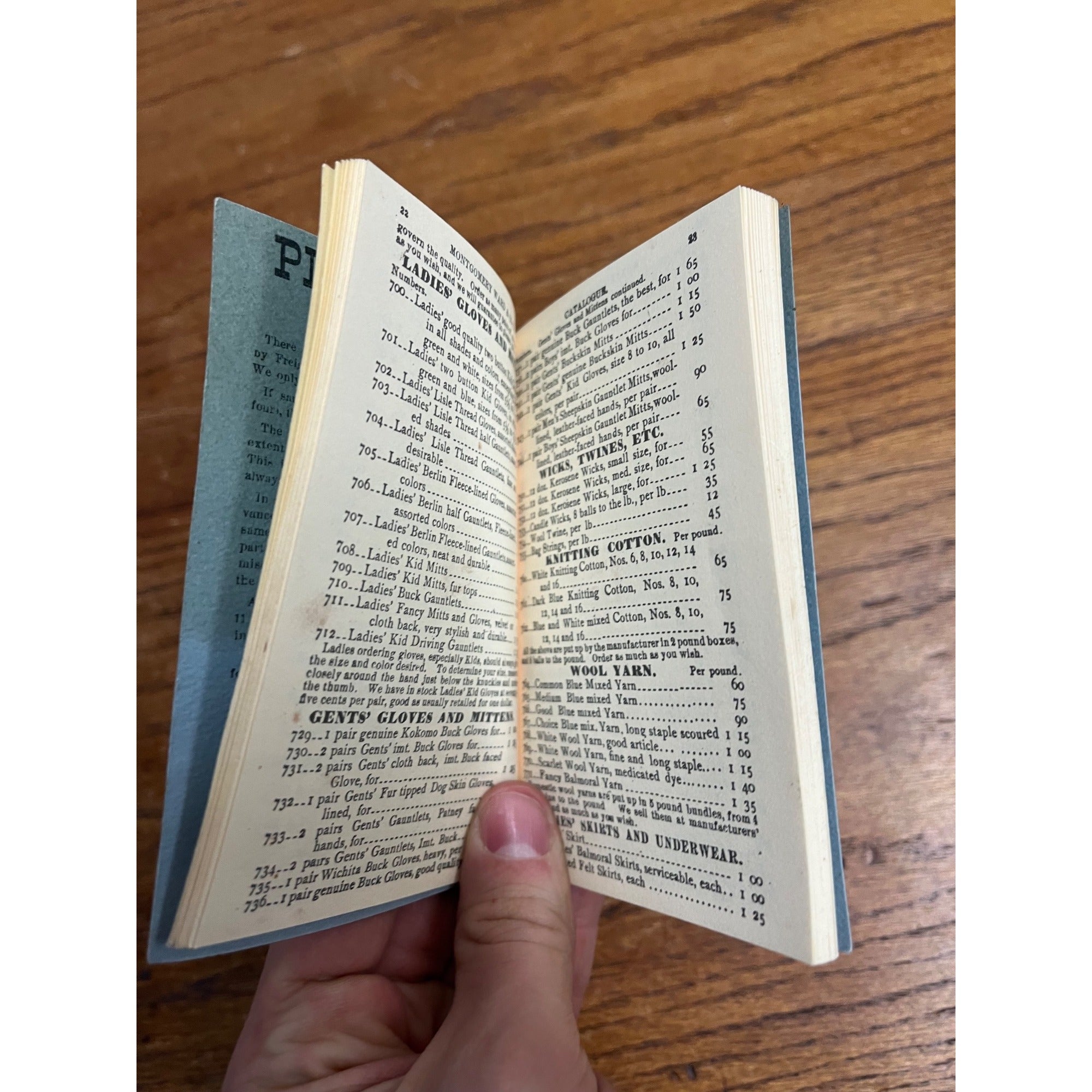 Montgomery Ward & Co Catalog #13 Spring Summer 1875 Department Store Vintage