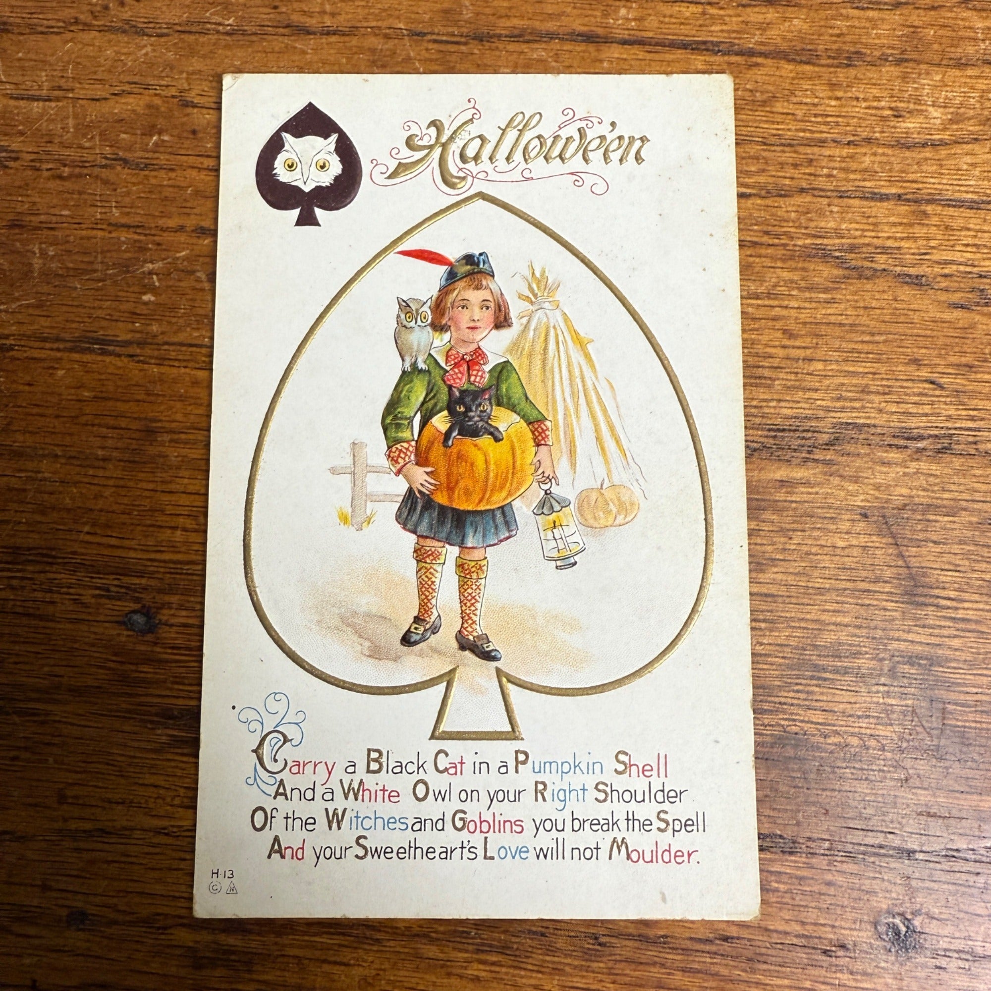 Vintage Halloween Postcard 1912 Nash Boy with Black Cat Owl JOL