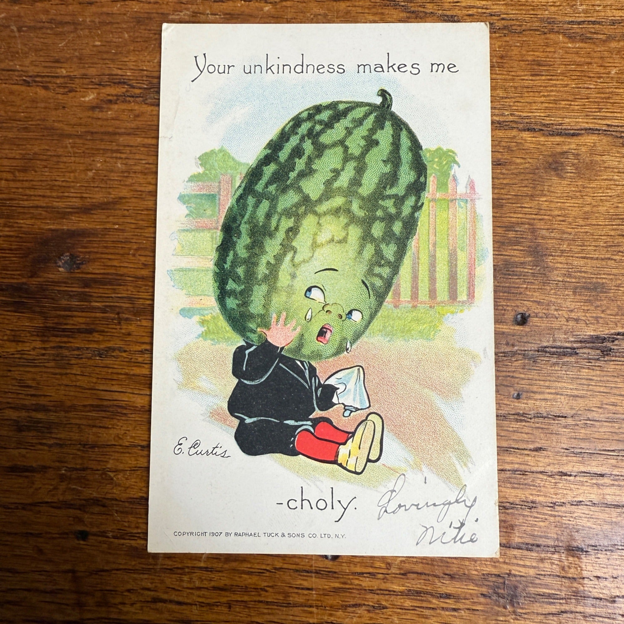 Vintage Tuck Garden Patch Postcard Watermelon E CURTIS Valentine Anthropomorphic