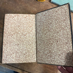 1883 Life of George Stephenson Railway Engineer  Samuel Smiles Self Help Series