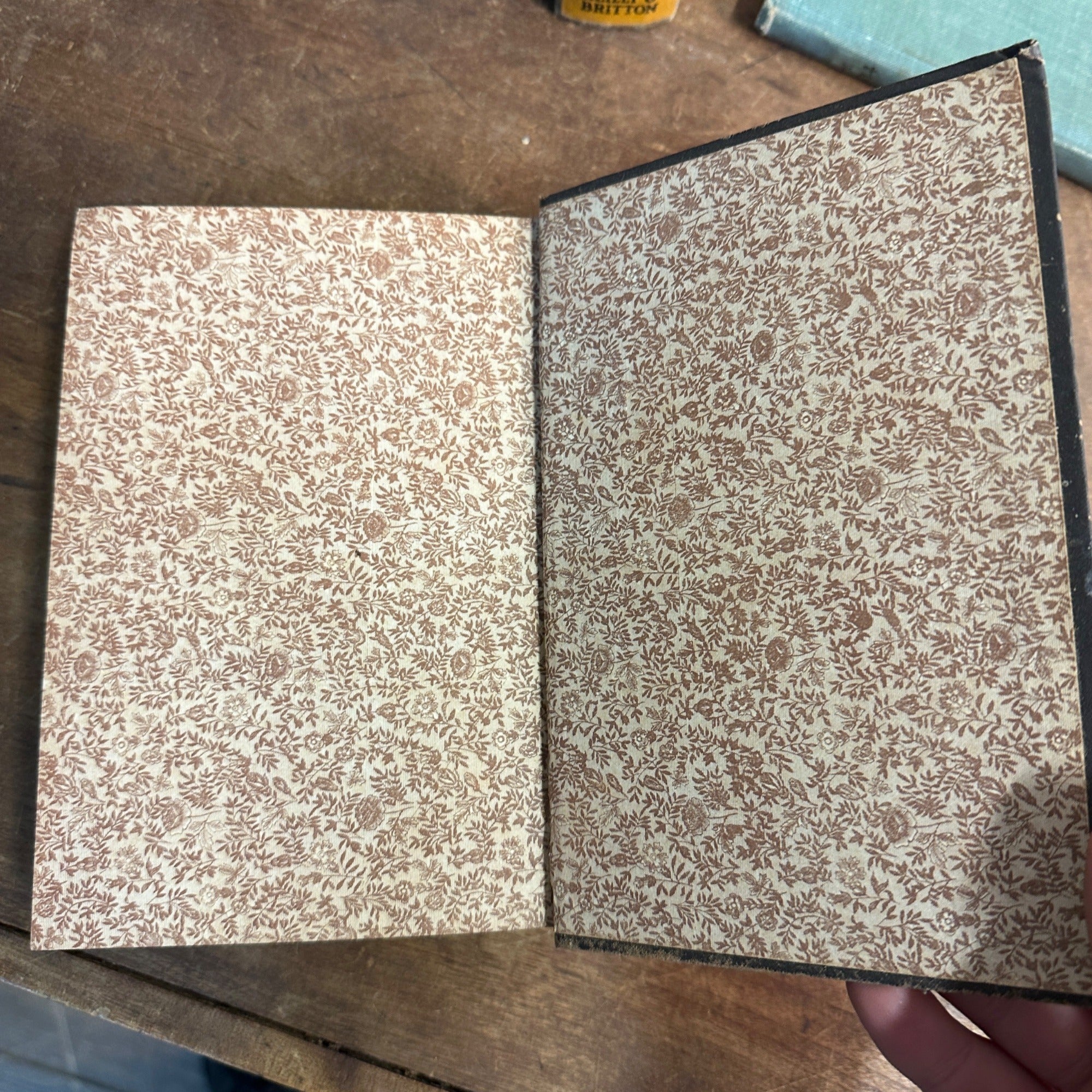 1883 Life of George Stephenson Railway Engineer  Samuel Smiles Self Help Series