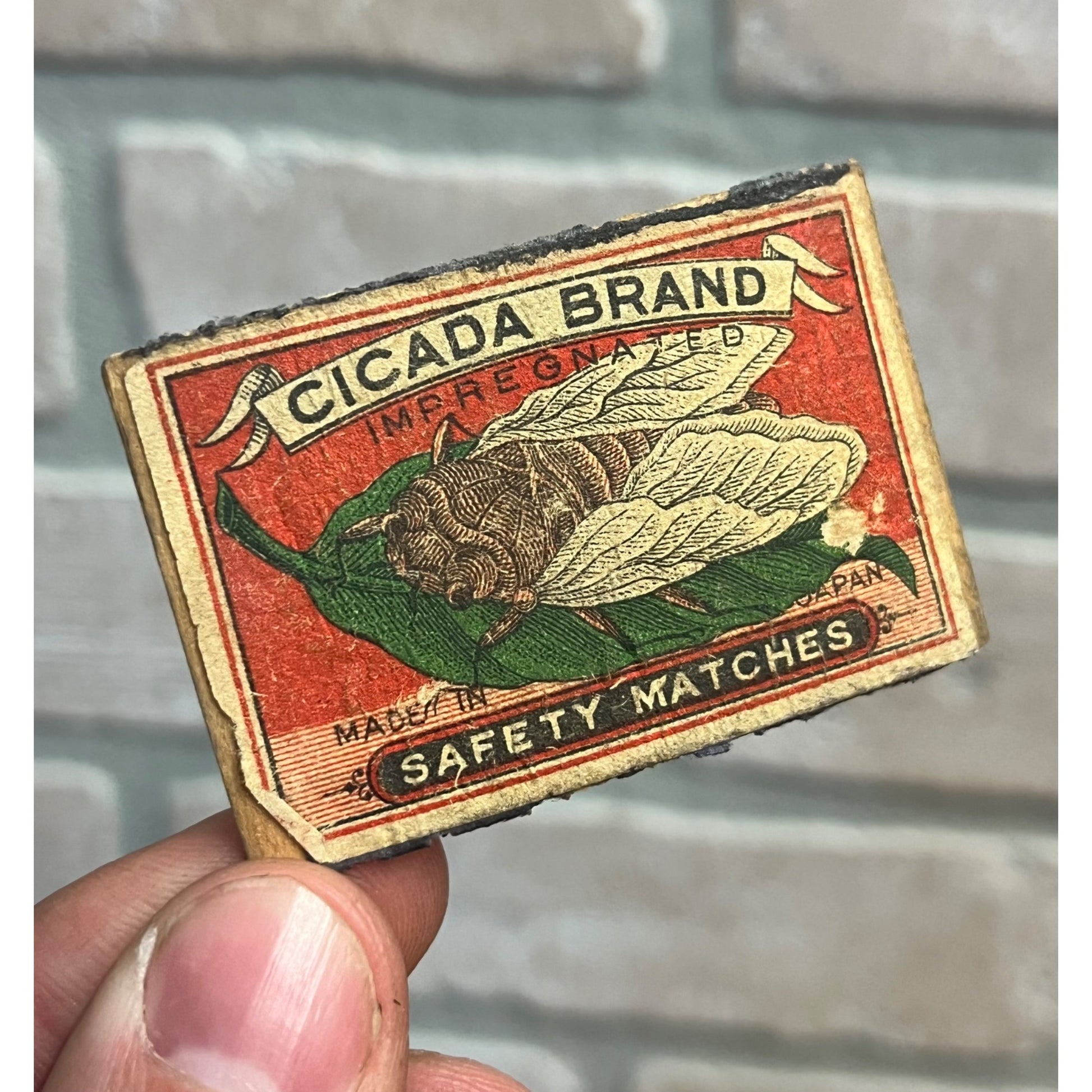 RARE Vintage 1920s Cicada Safety Matches Box Cover Label Advertising Japan