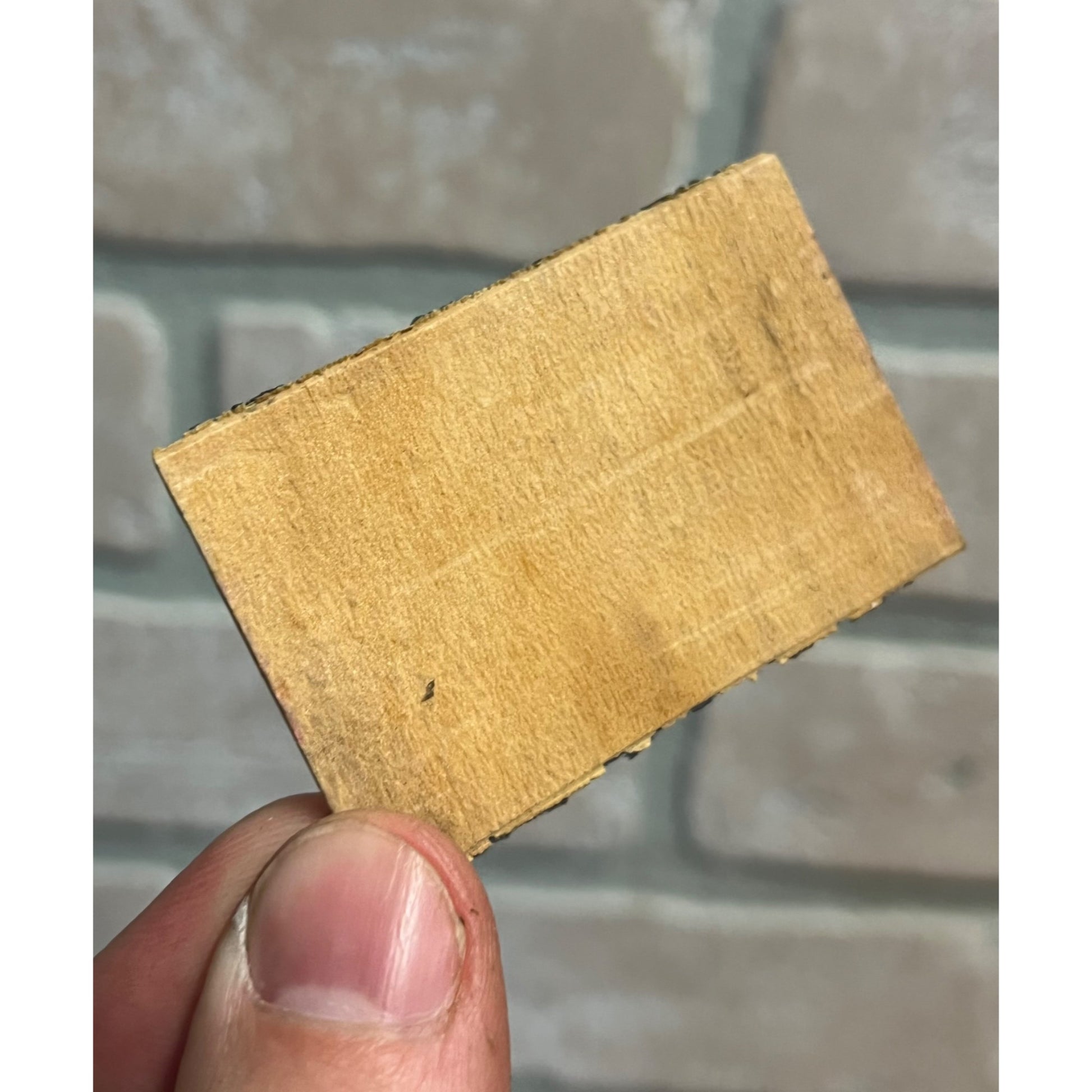 RARE Vintage 1920s Cicada Safety Matches Box Cover Label Advertising Japan