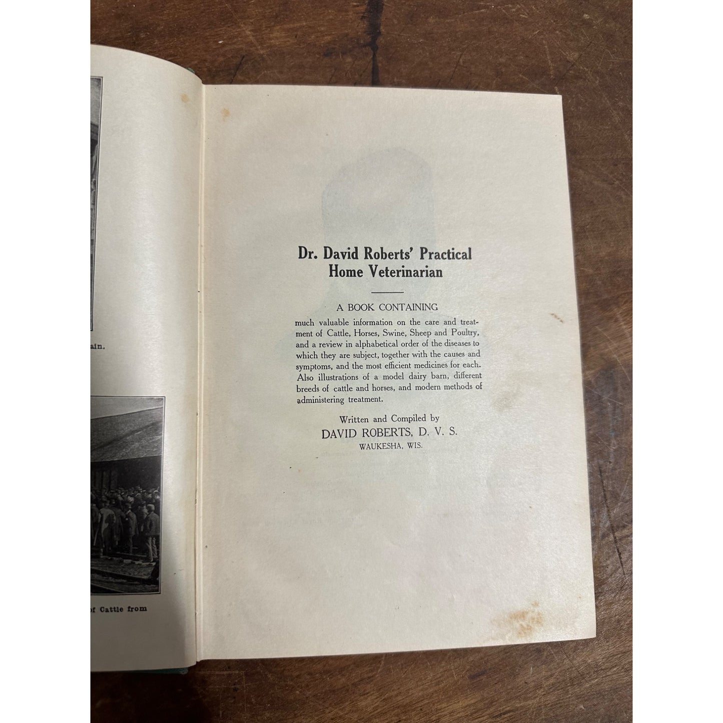 Vintage 1924 "Practical Home Veterinarian" Hardcover Book Dr. David Roberts
