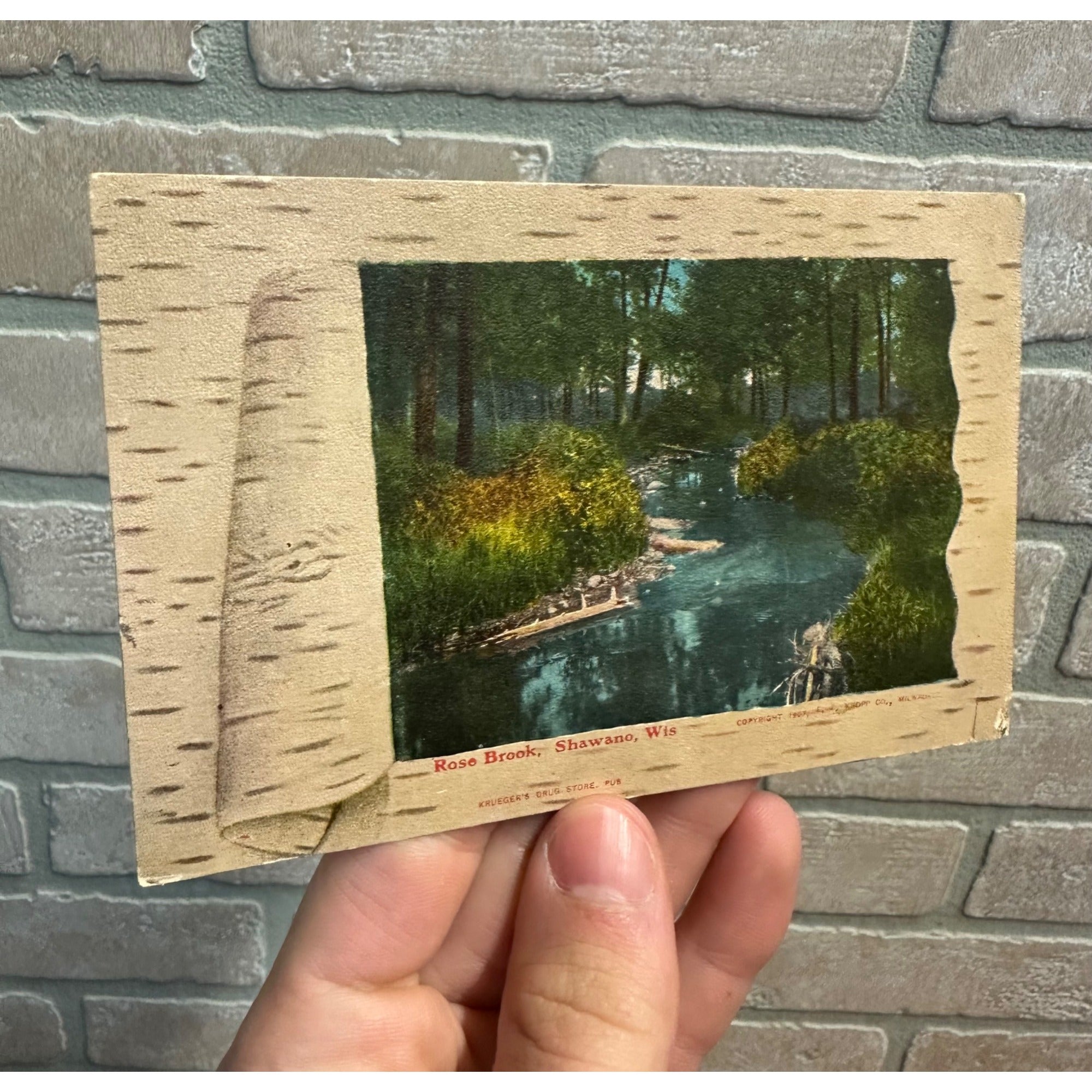 Rose Brook, Shawano Wisconsin 1908 Postcard Krueger's Drug Store Wis WI