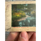Rose Brook, Shawano Wisconsin 1908 Postcard Krueger's Drug Store Wis WI