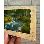 Rose Brook, Shawano Wisconsin 1908 Postcard Krueger's Drug Store Wis WI