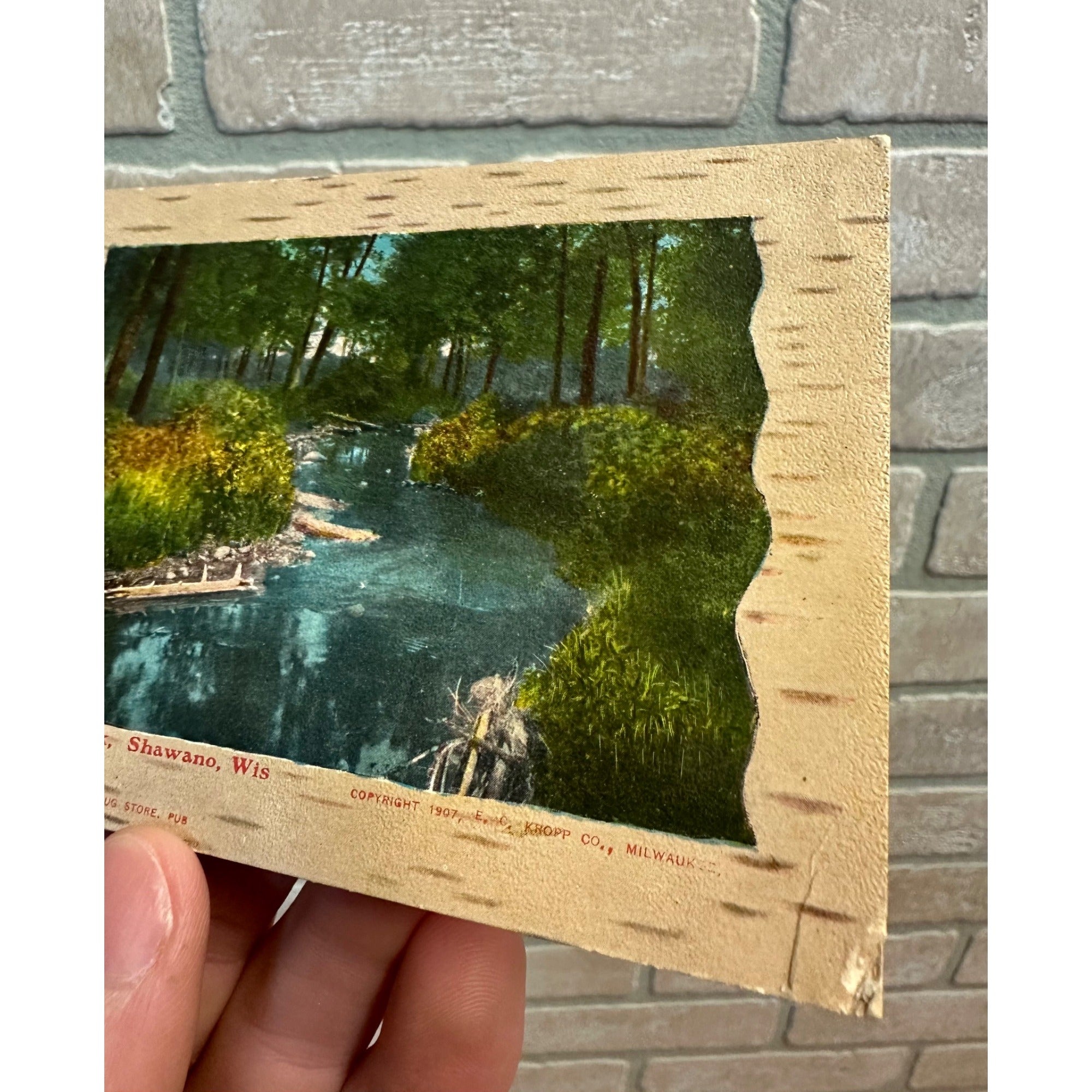 Rose Brook, Shawano Wisconsin 1908 Postcard Krueger's Drug Store Wis WI