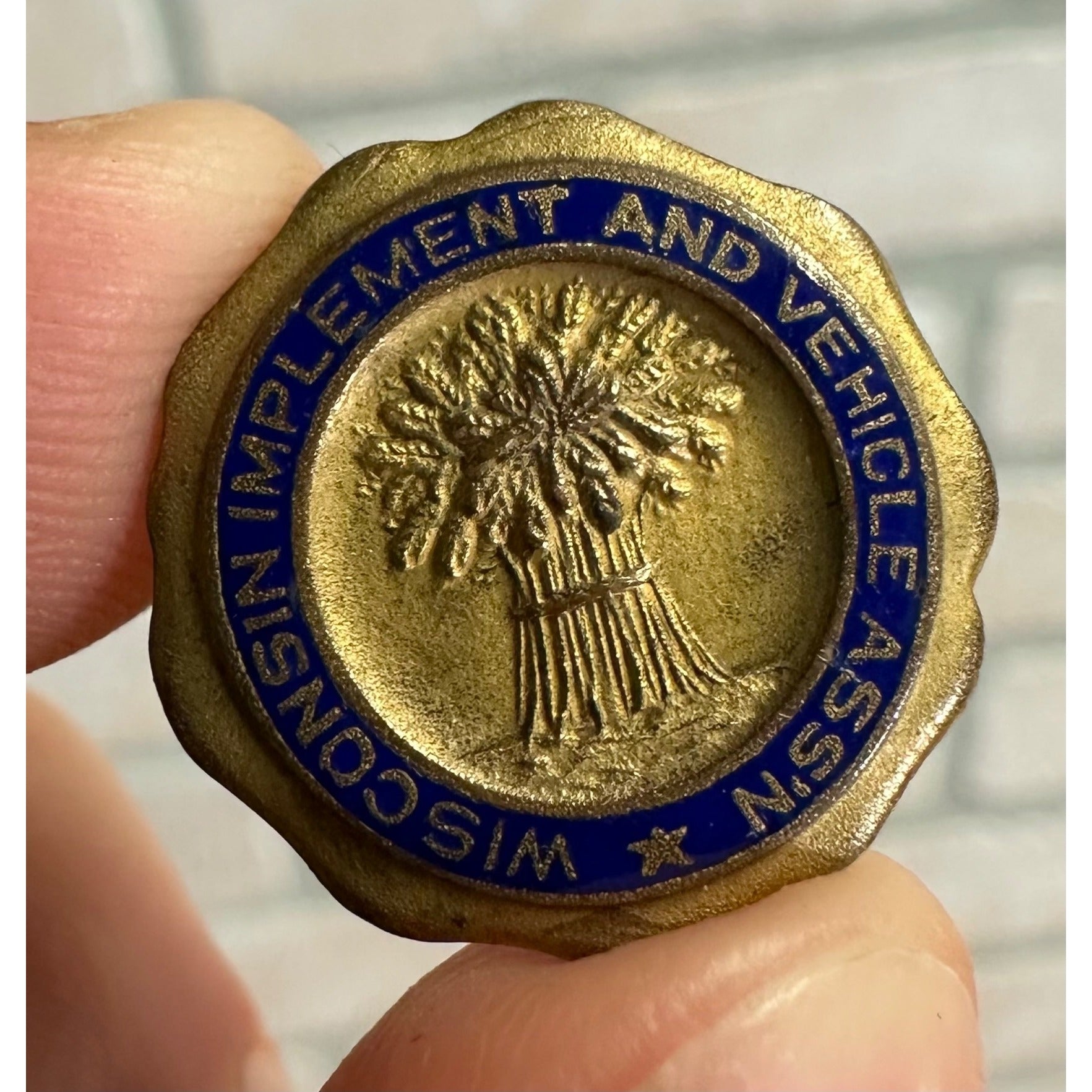 RARE 1900s Wisconsin Retail Implement & Vehicle Dealers Association Stud Button