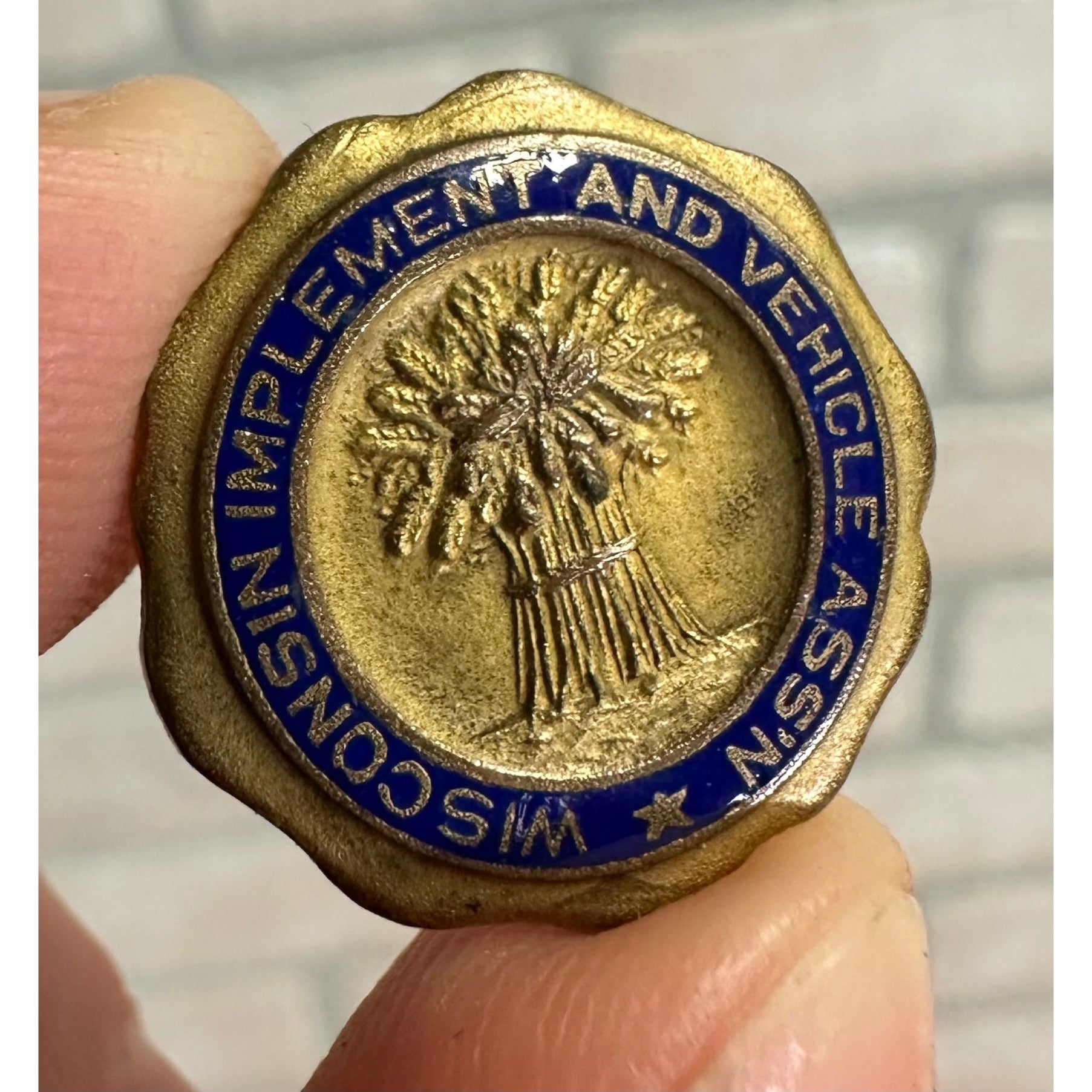 RARE 1900s Wisconsin Retail Implement & Vehicle Dealers Association Stud Button