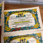 WW2 USS S.D. Sturgis Imperium Neptuni Regis Certificate Equator US Navy 3166
