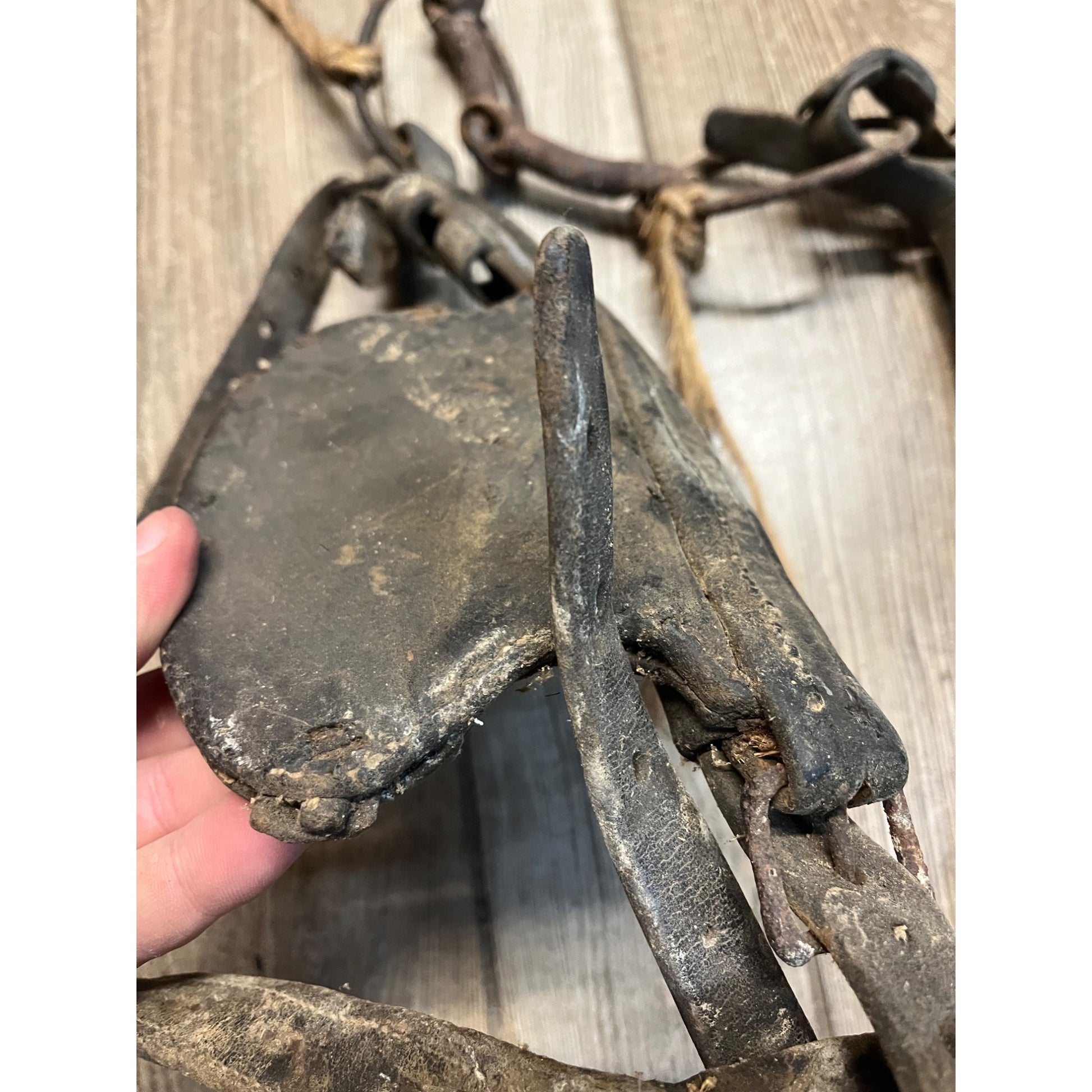 Antique 19th Century Horse Equestrian Leather Bridal Blinders Headstall Primitive