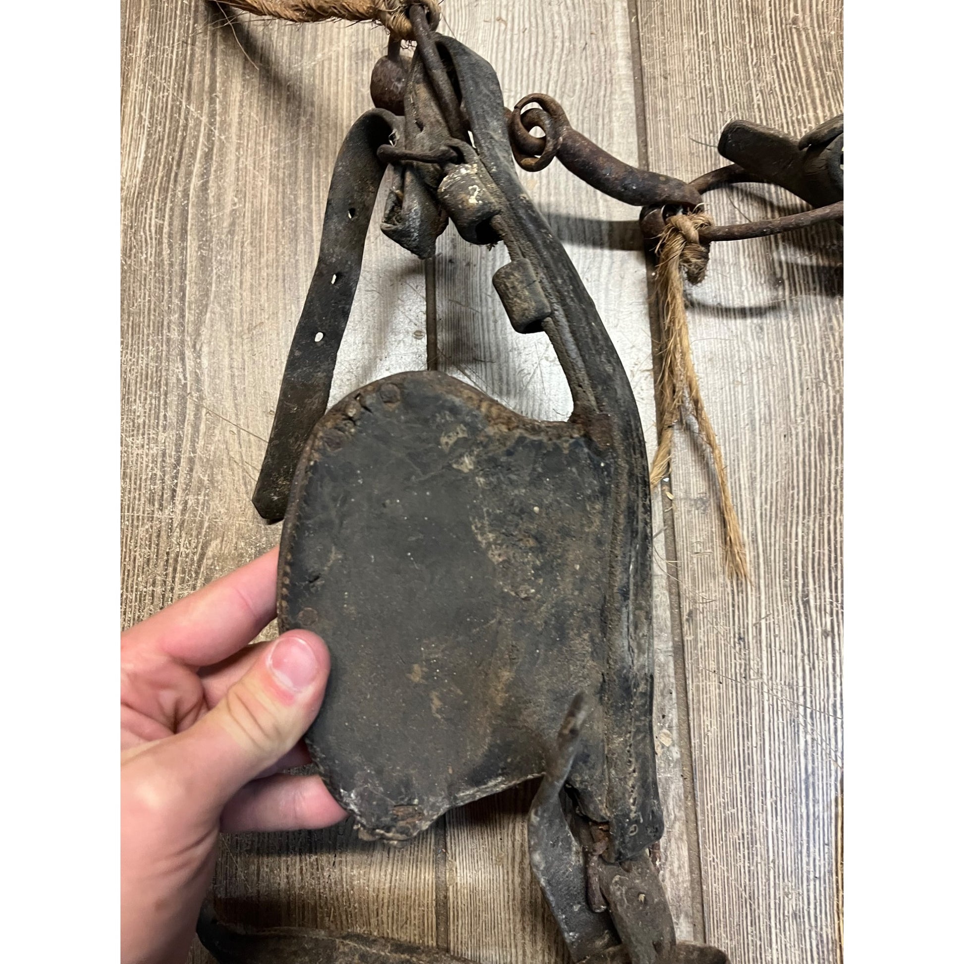 Antique 19th Century Horse Equestrian Leather Bridal Blinders Headstall Primitive