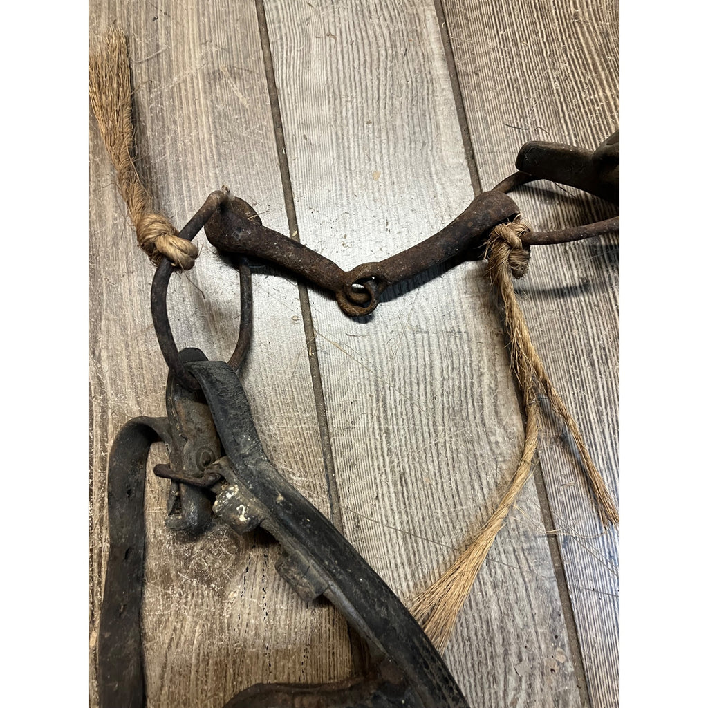 Antique 19th Century Horse Equestrian Leather Bridal Blinders Headstall Primitive