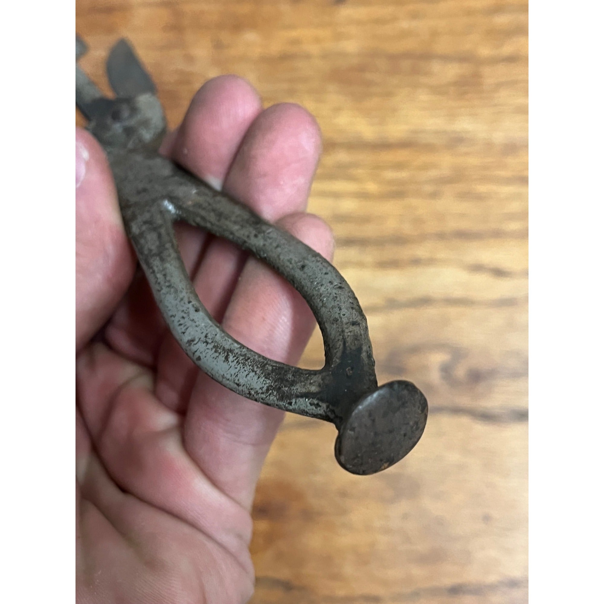 RARE Vintage 1890 Utility Multi Tool Ewr Can Opener Ice Pick Crusher Elgin Wood