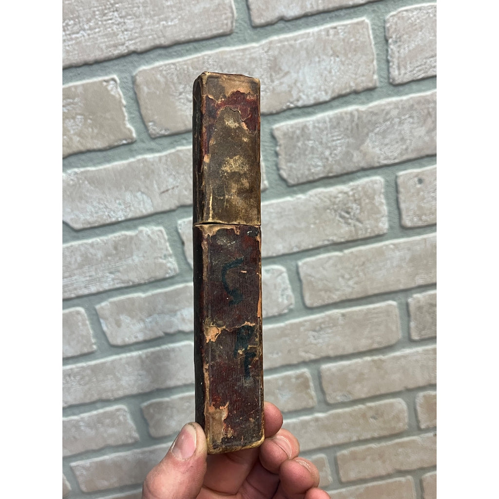 SCARCE Antique Figural Horse Celluloid Straight Razor Doyle #10 Freije Asha