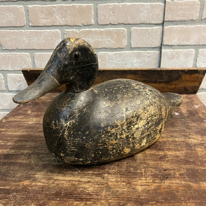 Vintage Humpback Bluebill Duck Decoy Hunting Bird