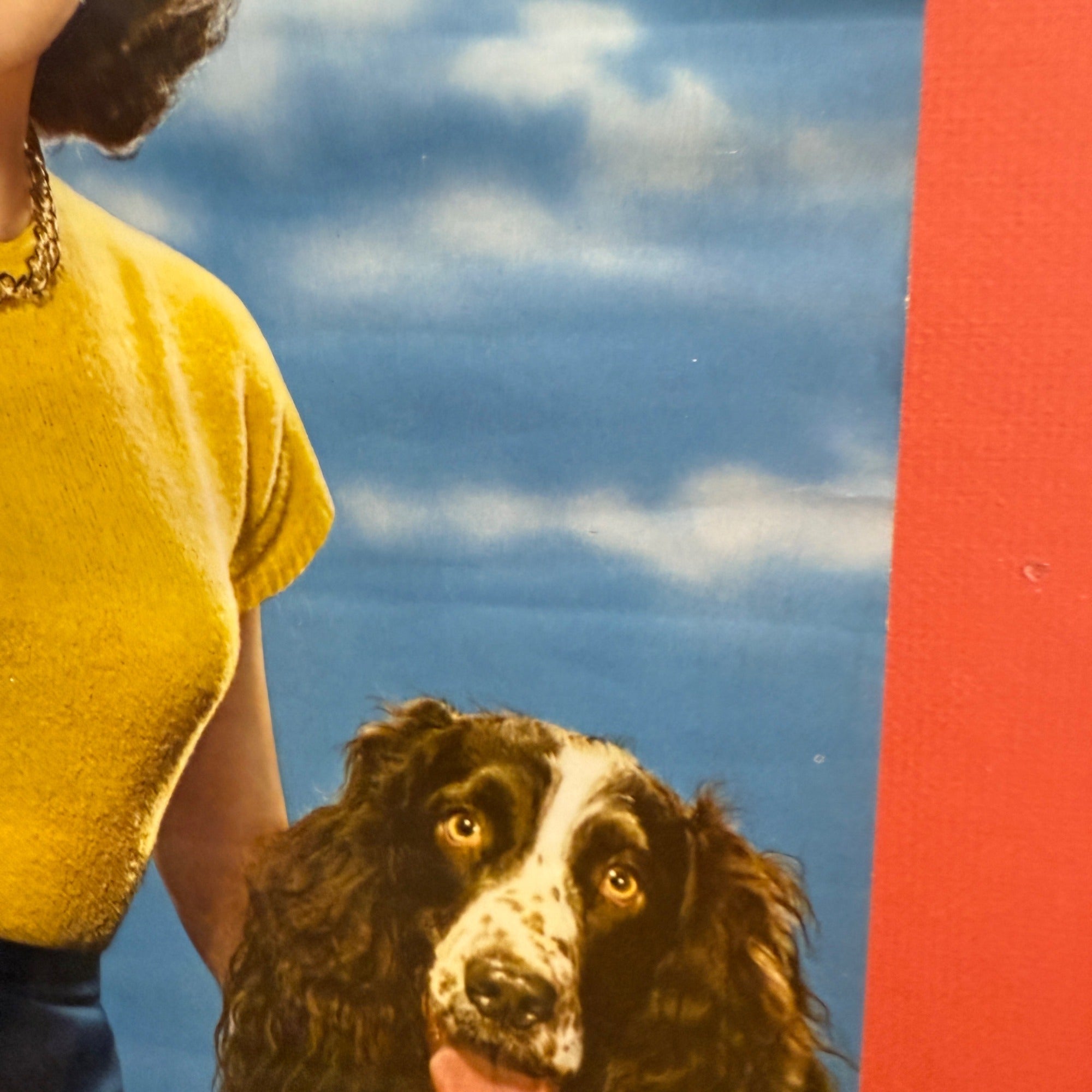 Vintage 1951 Royal Crown Cola Ann Blythe Advertising Calendar Rc Cola Soda Sign