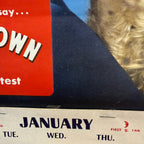 Vintage 1951 Royal Crown Cola Ann Blythe Advertising Calendar Rc Cola Soda Sign