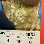 Vintage 1951 Royal Crown Cola Ann Blythe Advertising Calendar Rc Cola Soda Sign