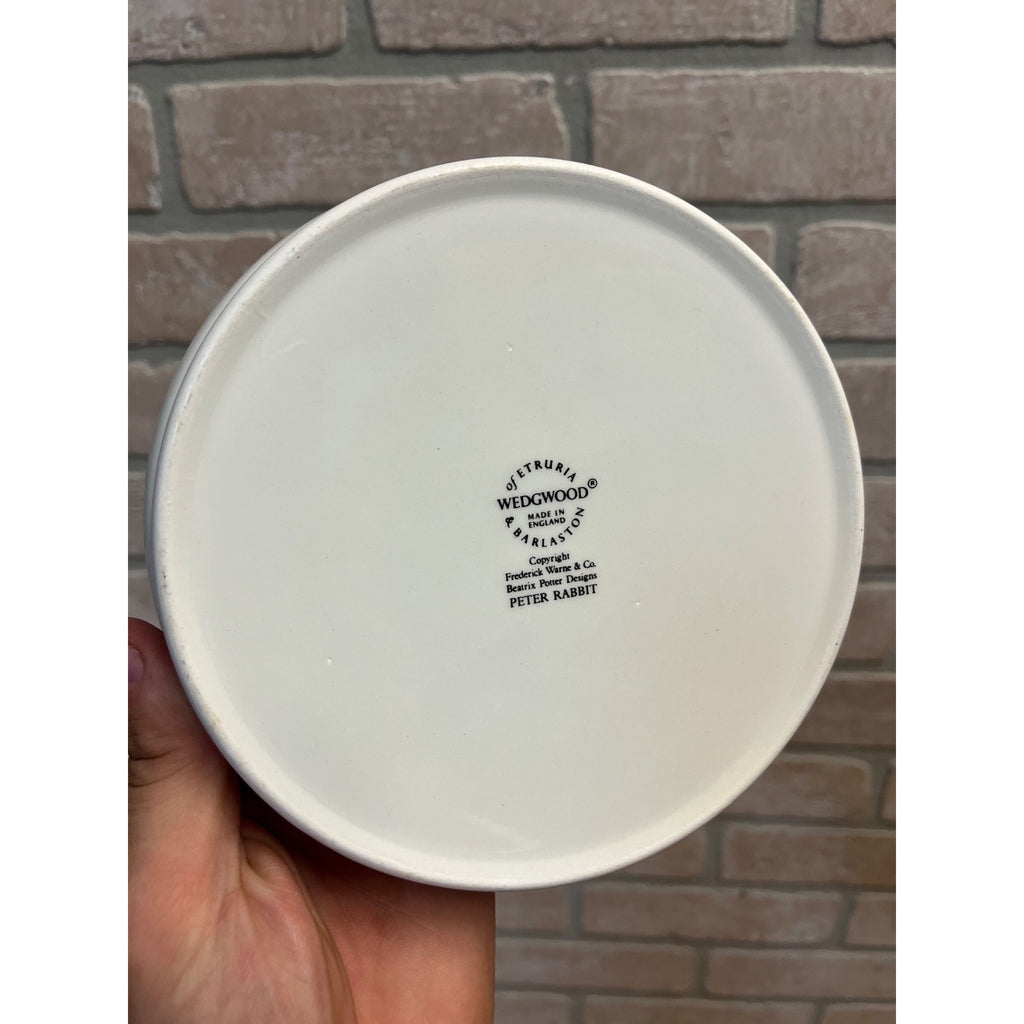 Vintage Beatrix Potter Child's Bowl Dish 6.5" Wedgwood England Frederick Warne