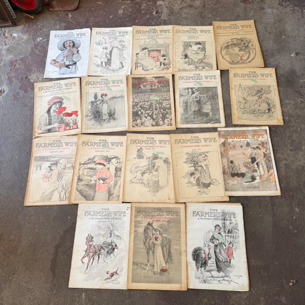 Antique The Farmer's Wife Magazine Lot 1900s Farm Journal Women's Ephemera 18