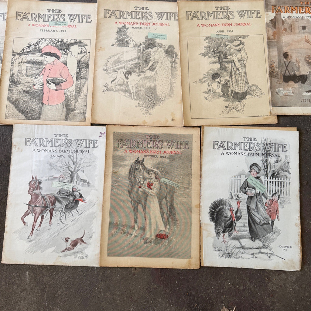 Antique The Farmer's Wife Magazine Lot 1900s Farm Journal Women's Ephemera 18