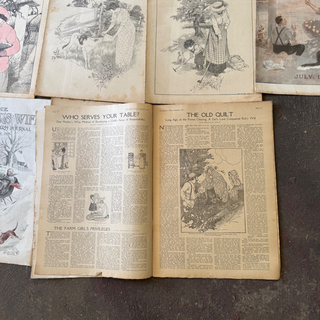 Antique The Farmer's Wife Magazine Lot 1900s Farm Journal Women's Ephemera 18