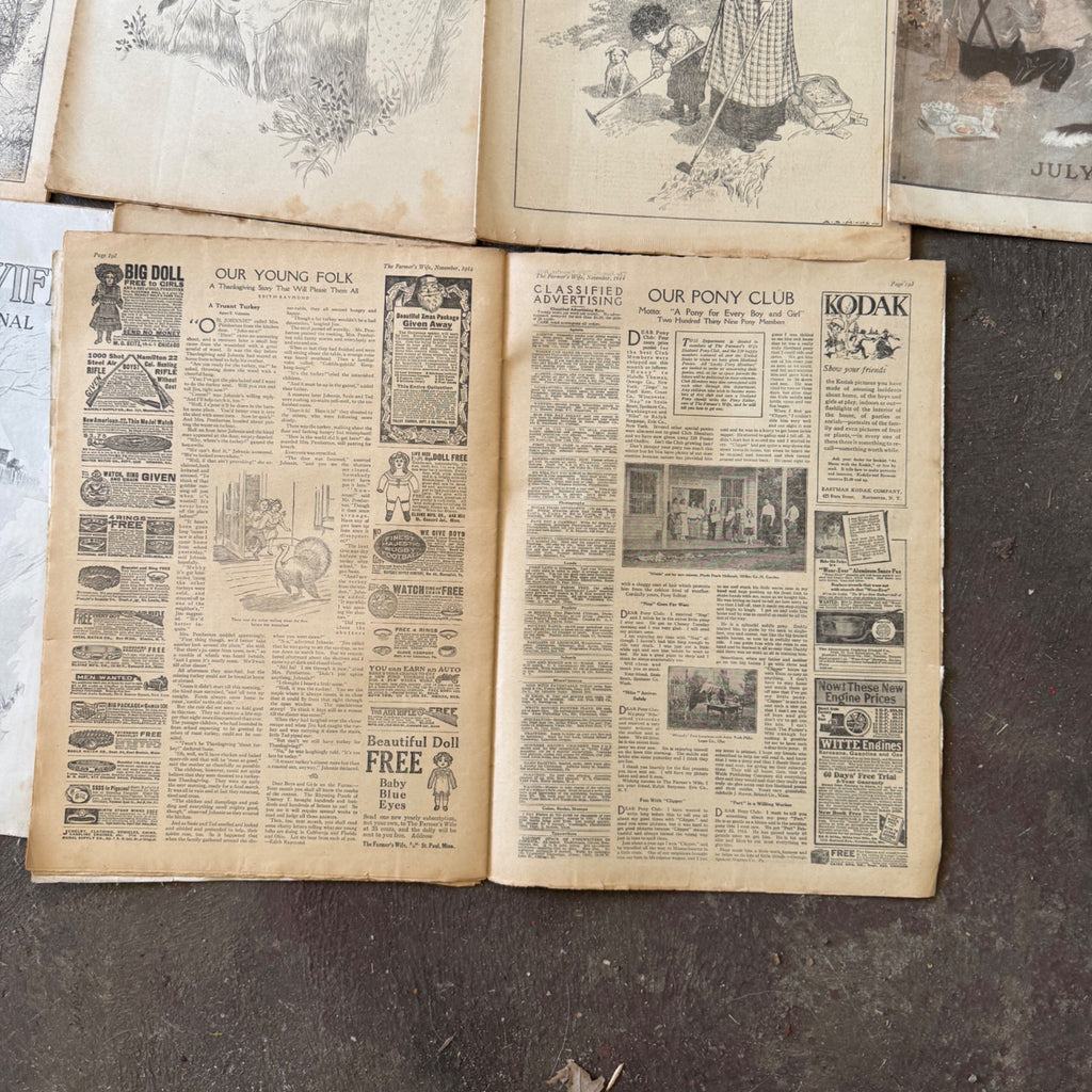 Antique The Farmer's Wife Magazine Lot 1900s Farm Journal Women's Ephemera 18