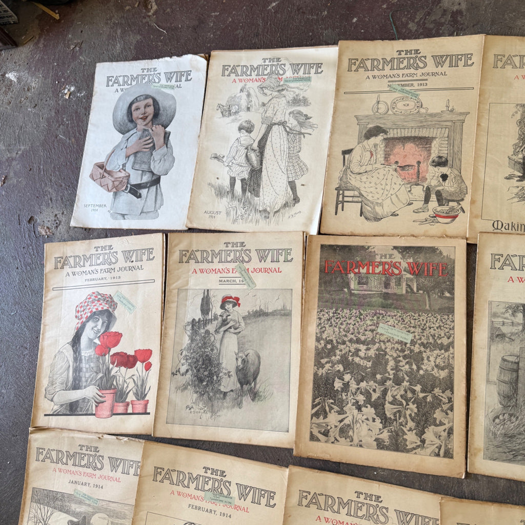 Antique The Farmer's Wife Magazine Lot 1900s Farm Journal Women's Ephemera 18