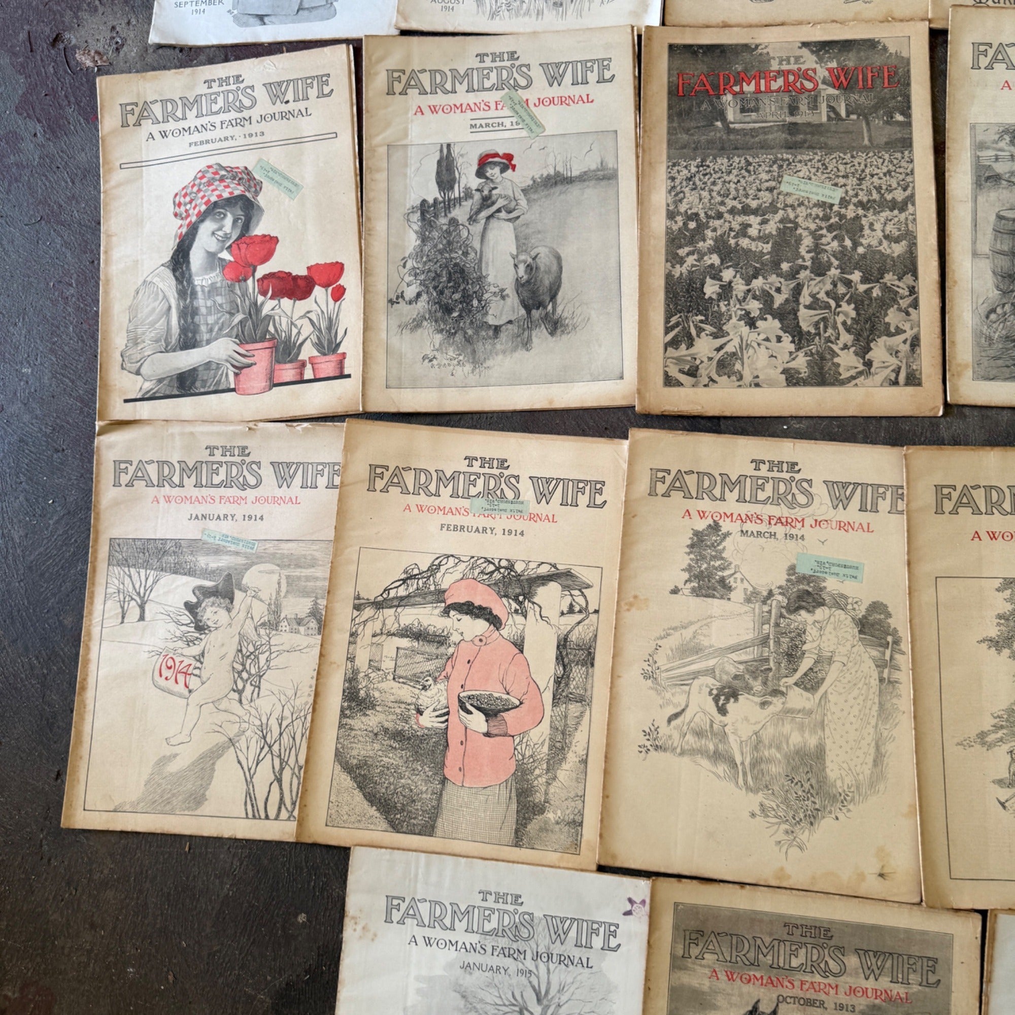 Antique The Farmer's Wife Magazine Lot 1900s Farm Journal Women's Ephemera 18
