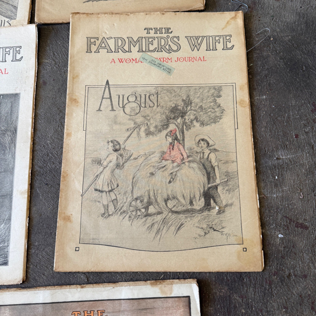 Antique The Farmer's Wife Magazine Lot 1900s Farm Journal Women's Ephemera 18