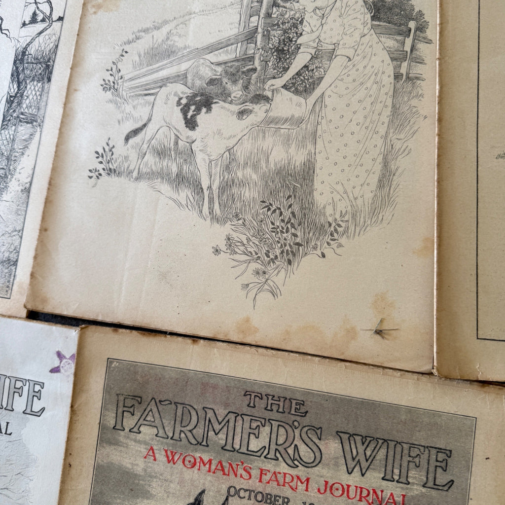 Antique The Farmer's Wife Magazine Lot 1900s Farm Journal Women's Ephemera 18
