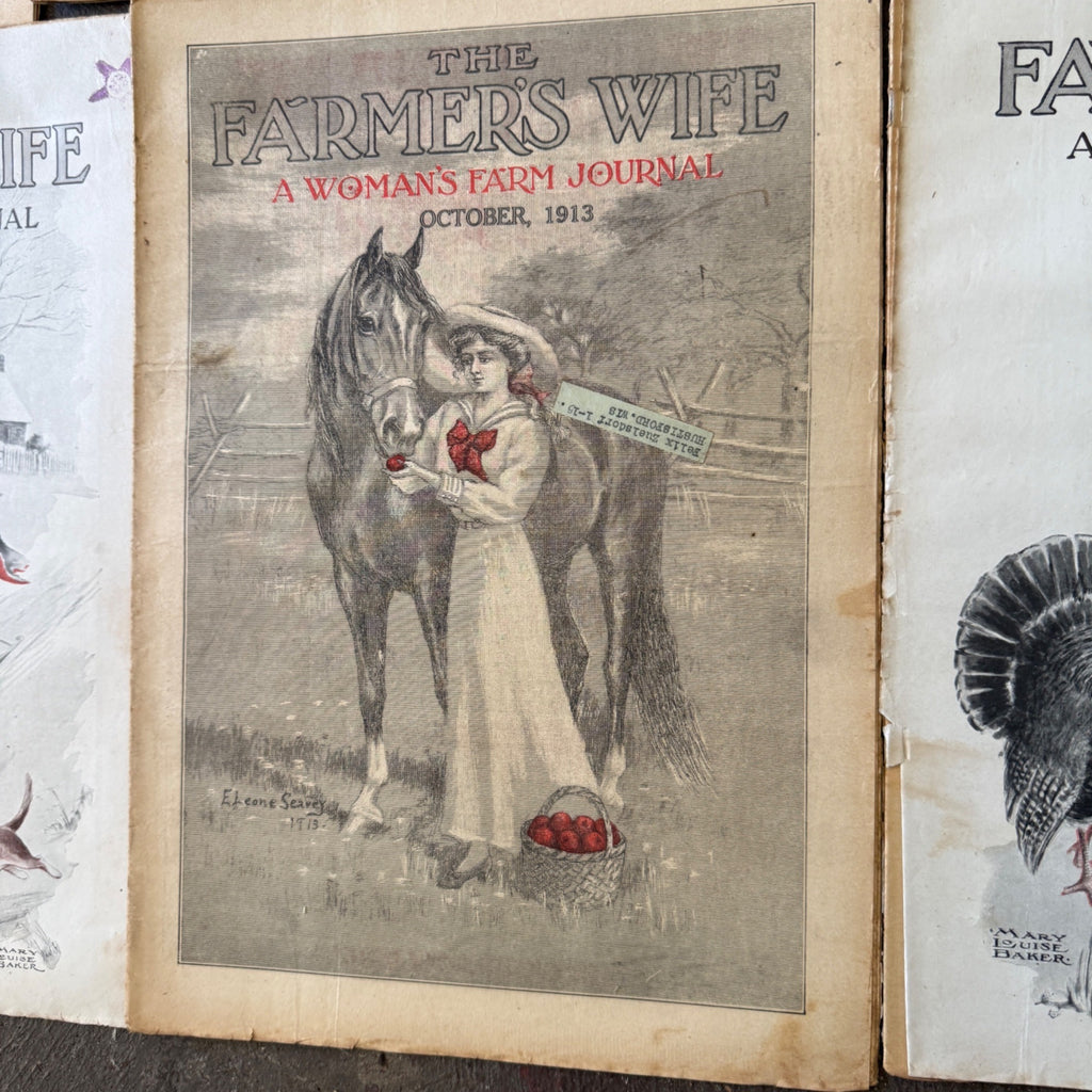 Antique The Farmer's Wife Magazine Lot 1900s Farm Journal Women's Ephemera 18