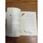 Antique 1897 "Our Friends, the Birds" Hardcover Book Poetry & Prose Caroline Parker