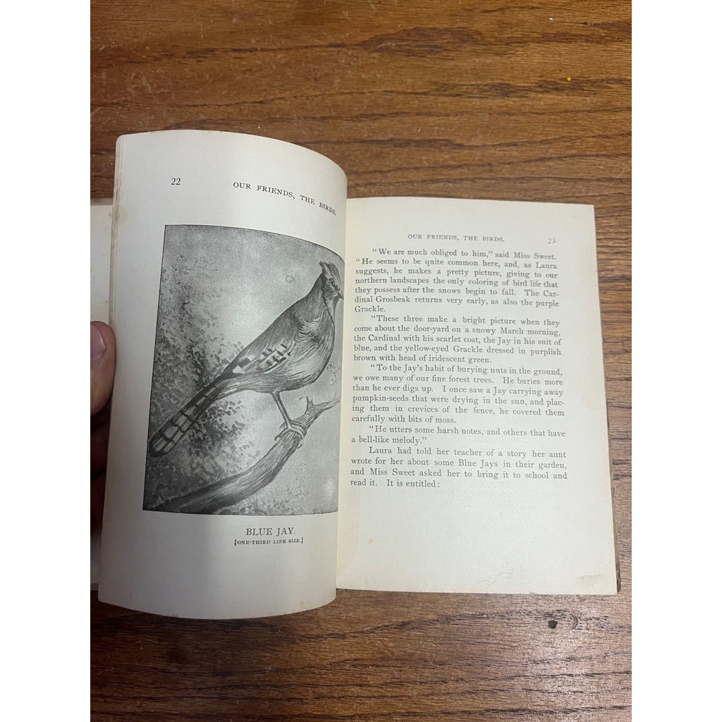 Antique 1897 "Our Friends, the Birds" Hardcover Book Poetry & Prose Caroline Parker