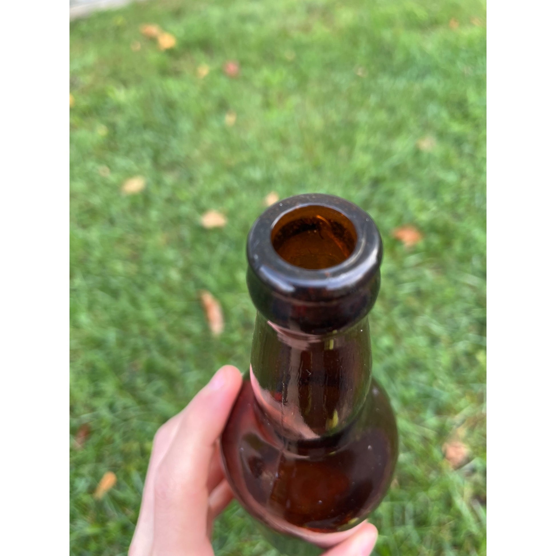 Vintage Silver Creek Brewery Pre-Prohibition Amber Beer Bottle Random Lake Wis