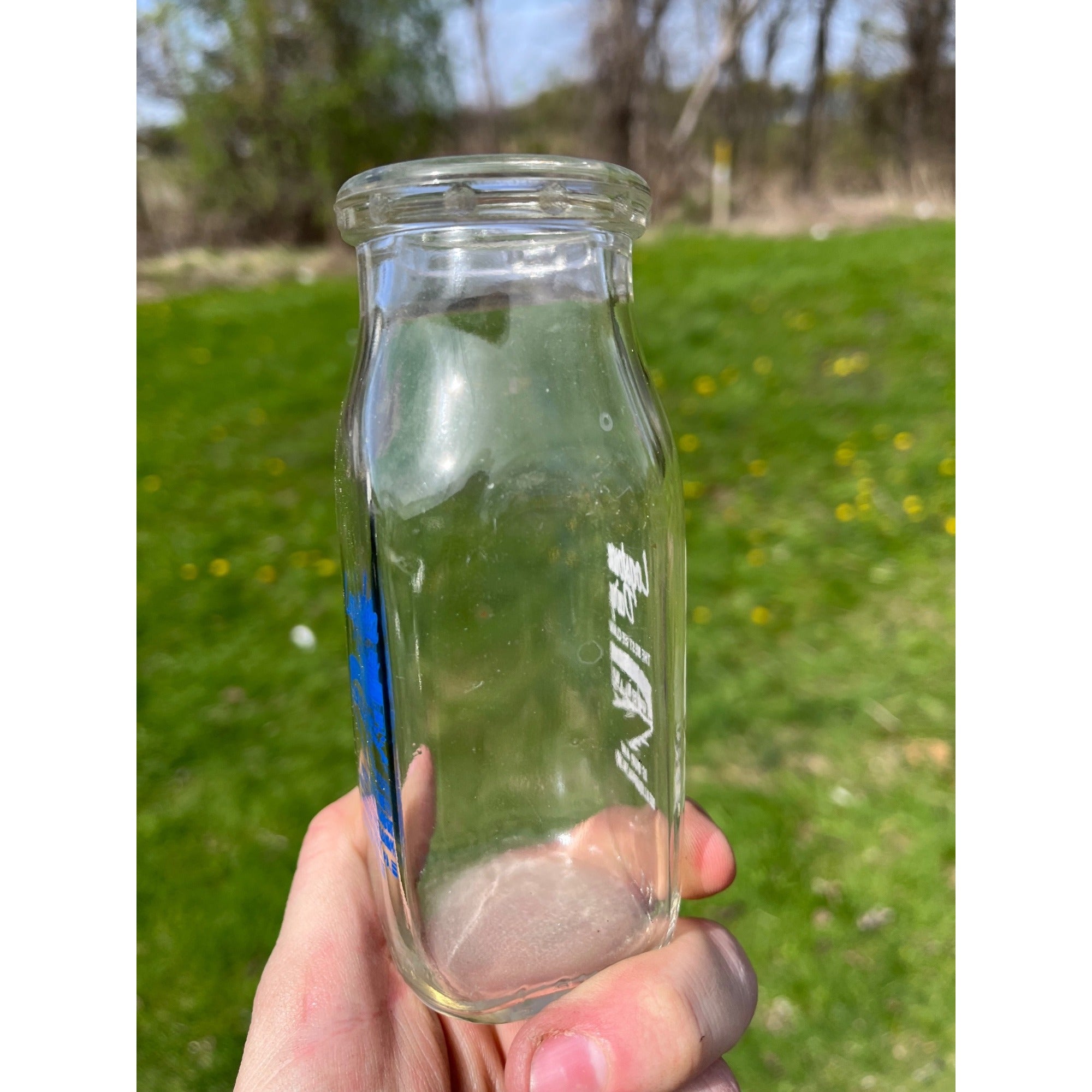 Vintage 1950s Logstown Dairy ACL Half Pint Milk Bottle Aliquippa Pennsylvania PA