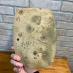 Vintage Crank Bank NOS Plastic Tarco Sidney Tarrson Pencil Sharpener