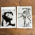 Vintage Lot (2) Gilligan's Island Signed Photos Tina Louise & Dawn Wells 5" x 7"