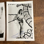Vintage Lot (2) Gilligan's Island Signed Photos Tina Louise & Dawn Wells 5" x 7"