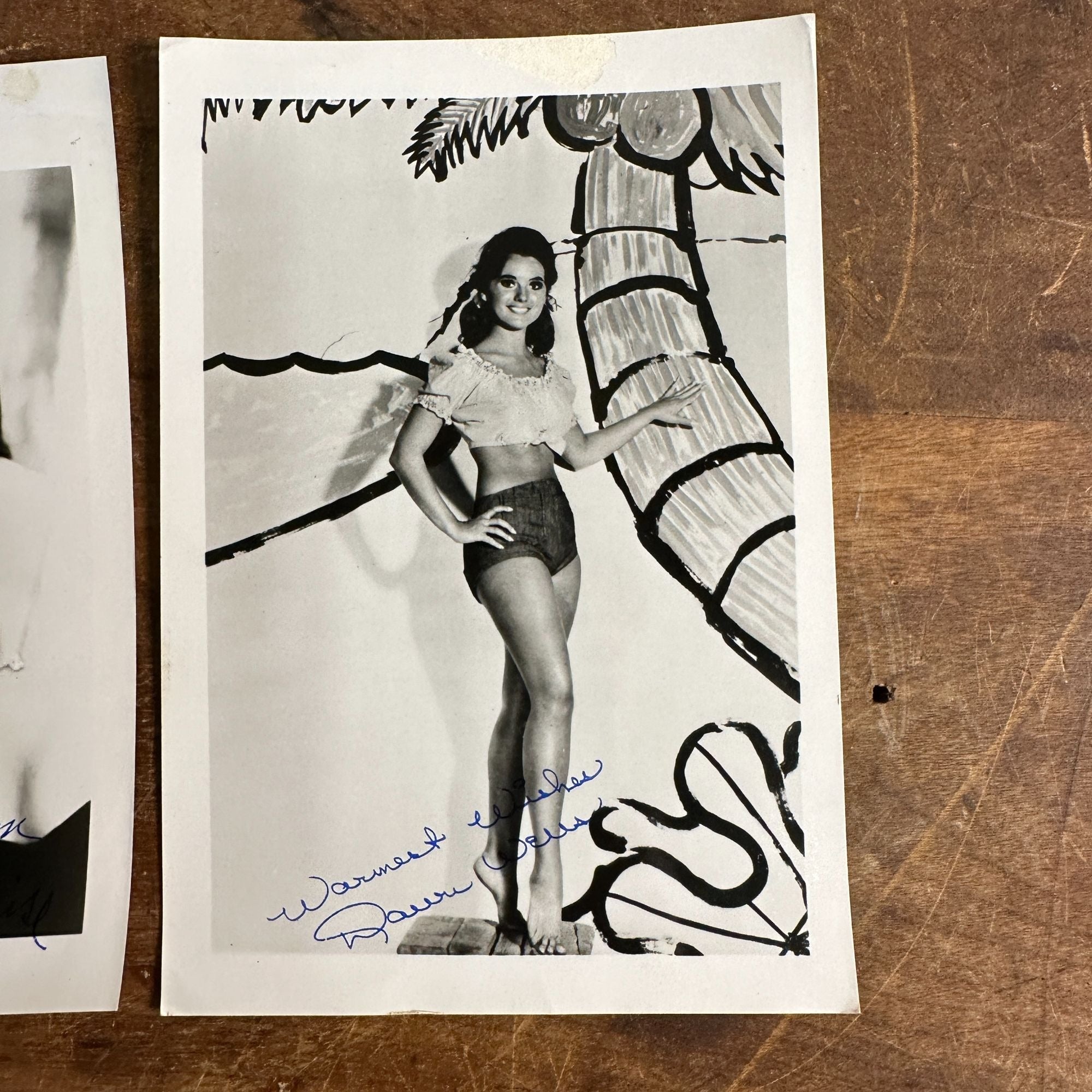 Vintage Lot (2) Gilligan's Island Signed Photos Tina Louise & Dawn Wells 5" x 7"
