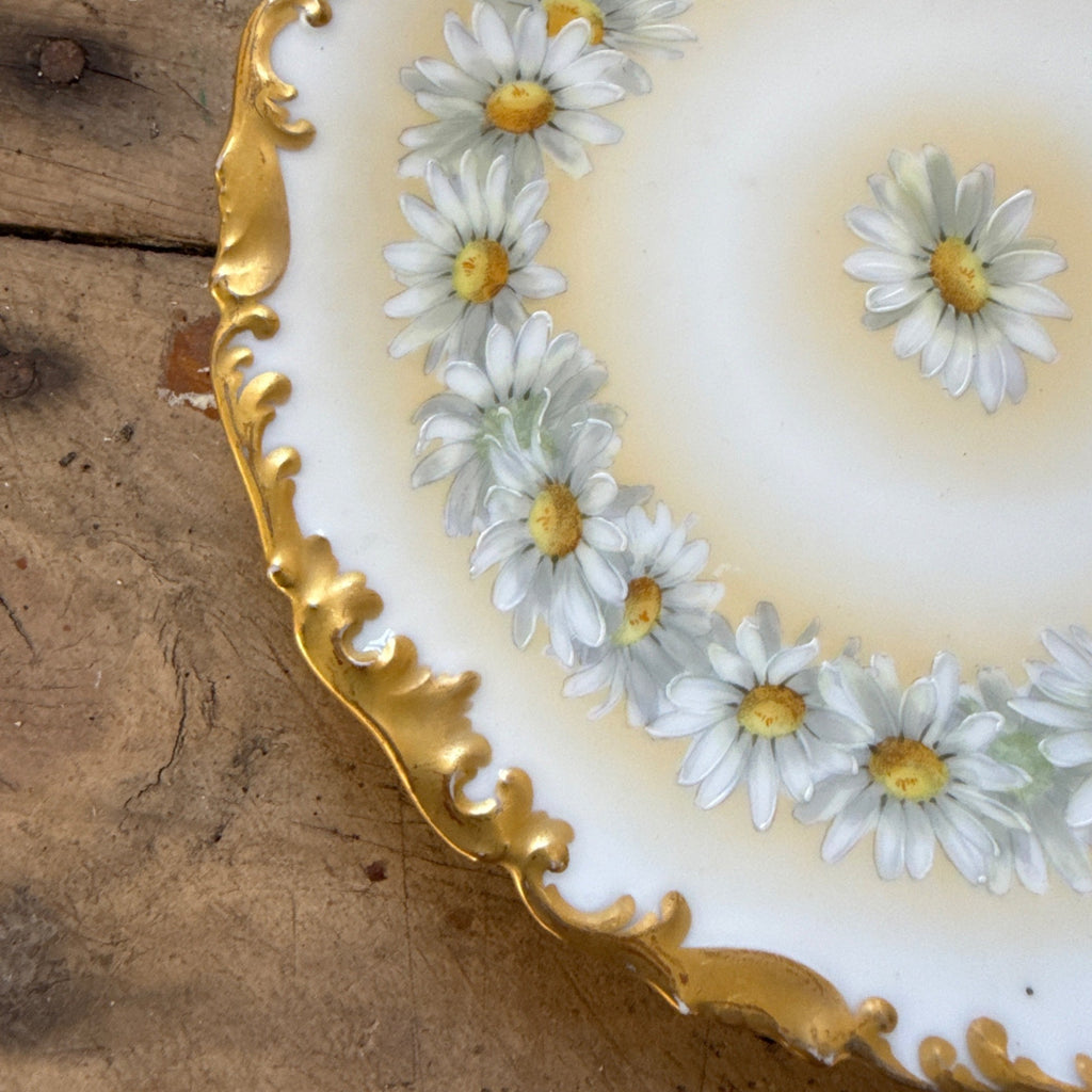 Vintage Tressemanes & Vogt Daisies 8.25" Salad Luncheon Plate TRV18 T&V France