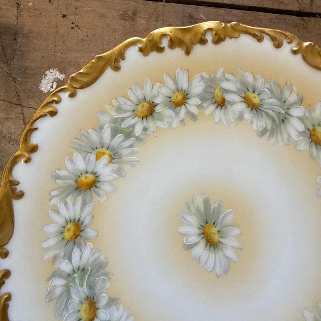 Vintage Tressemanes & Vogt Daisies 8.25" Salad Luncheon Plate TRV18 T&V France