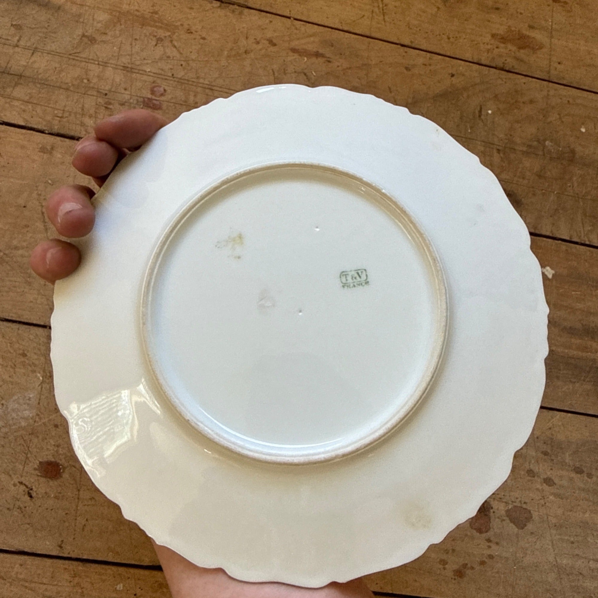 Vintage Tressemanes & Vogt Daisies 8.25" Salad Luncheon Plate TRV18 T&V France